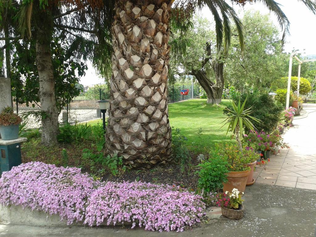 Villa Etna Piedimonte Etneo Exterior photo